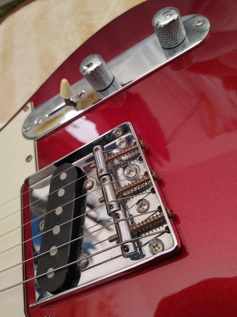 Bacchusテレキャスタータイプ　Universe series