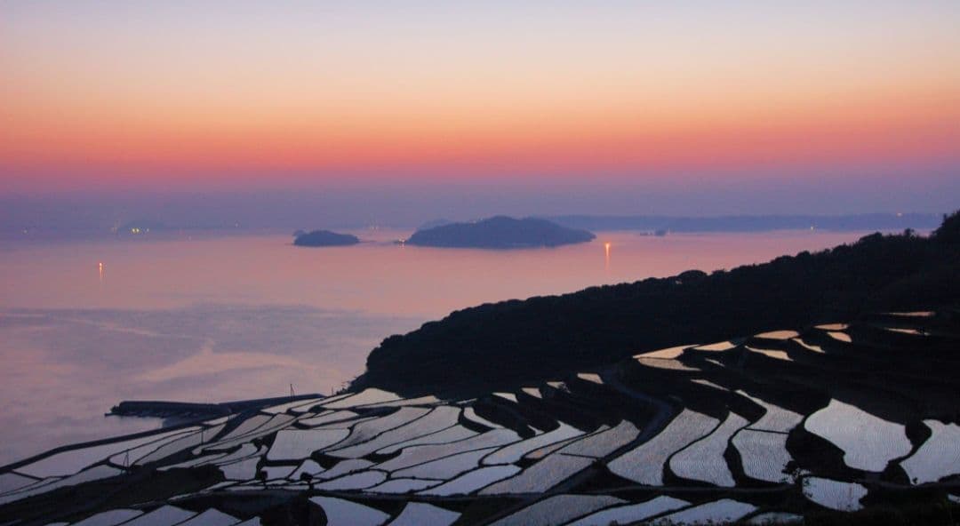 Nrt様　NIKON　D70⚡️1本で広角から望遠まで⚡️初心者⚡️ニコン⚡️