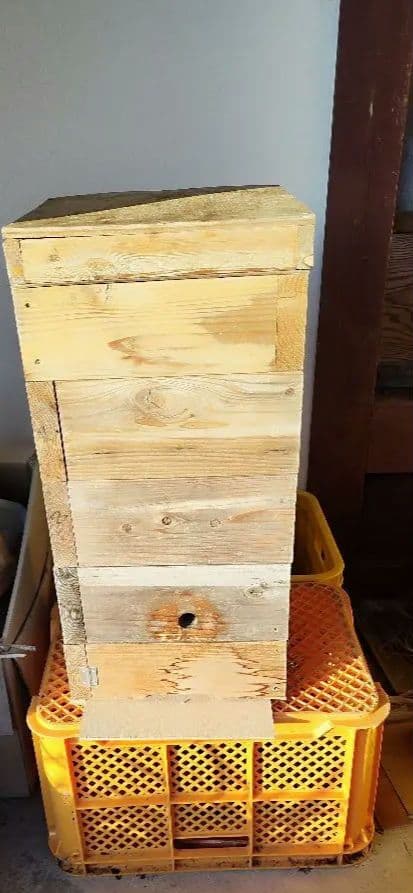日本蜜蜂中古巣箱　分蜂捕獲セット　ミツロウ