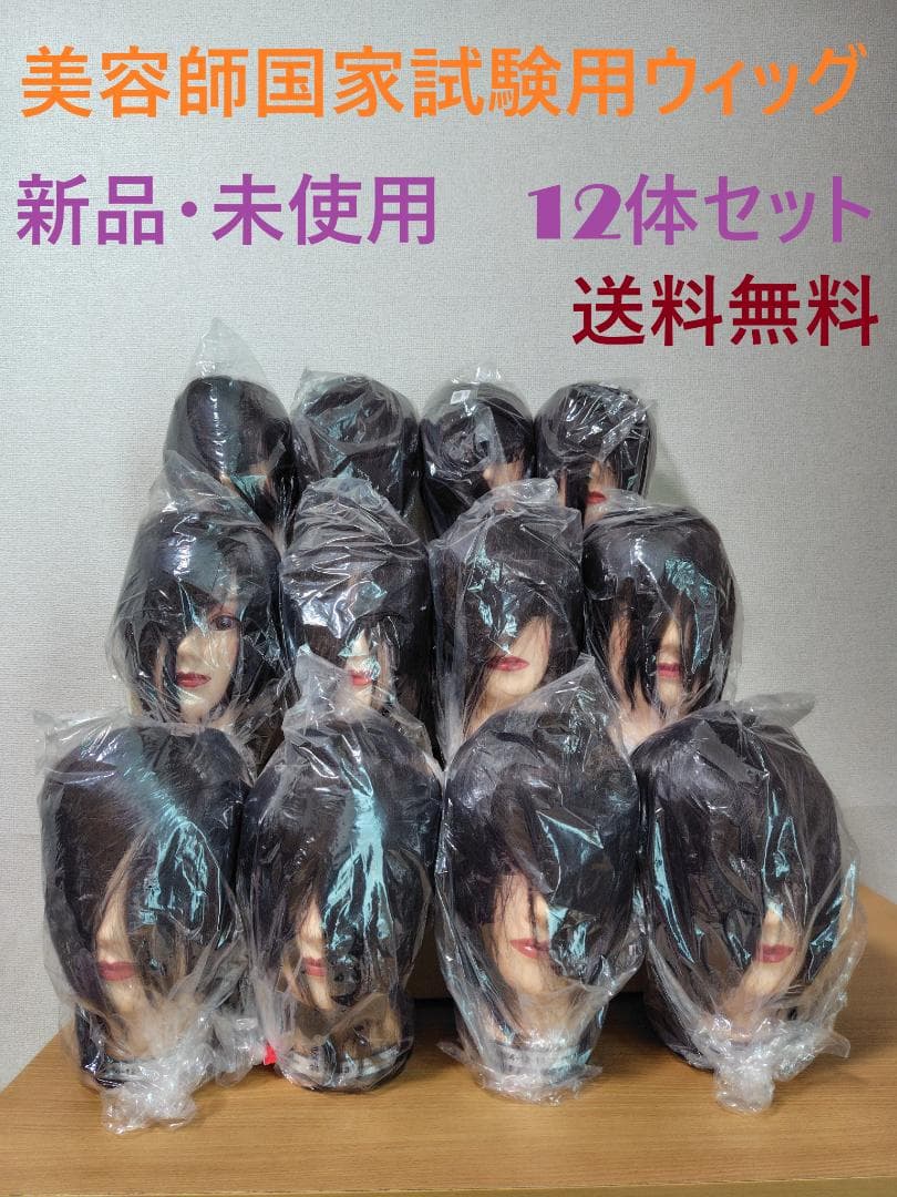 美容師国家試験用カットウィッグ 12体セット