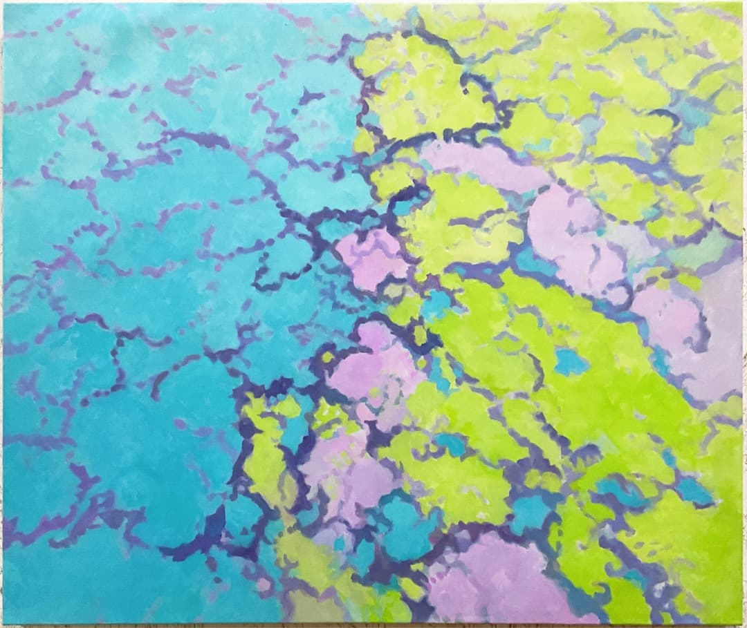 絵画 890 油絵/抽象画風/自然の造形/ひび割れ/F20号