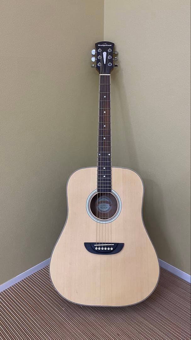 Orangewood T110 NS アコースティックギター