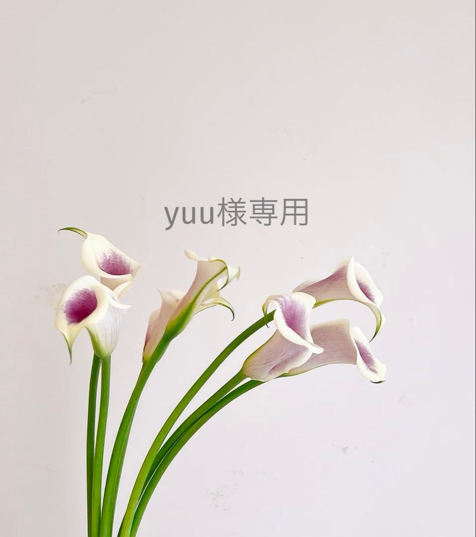 洗顔料 yuu