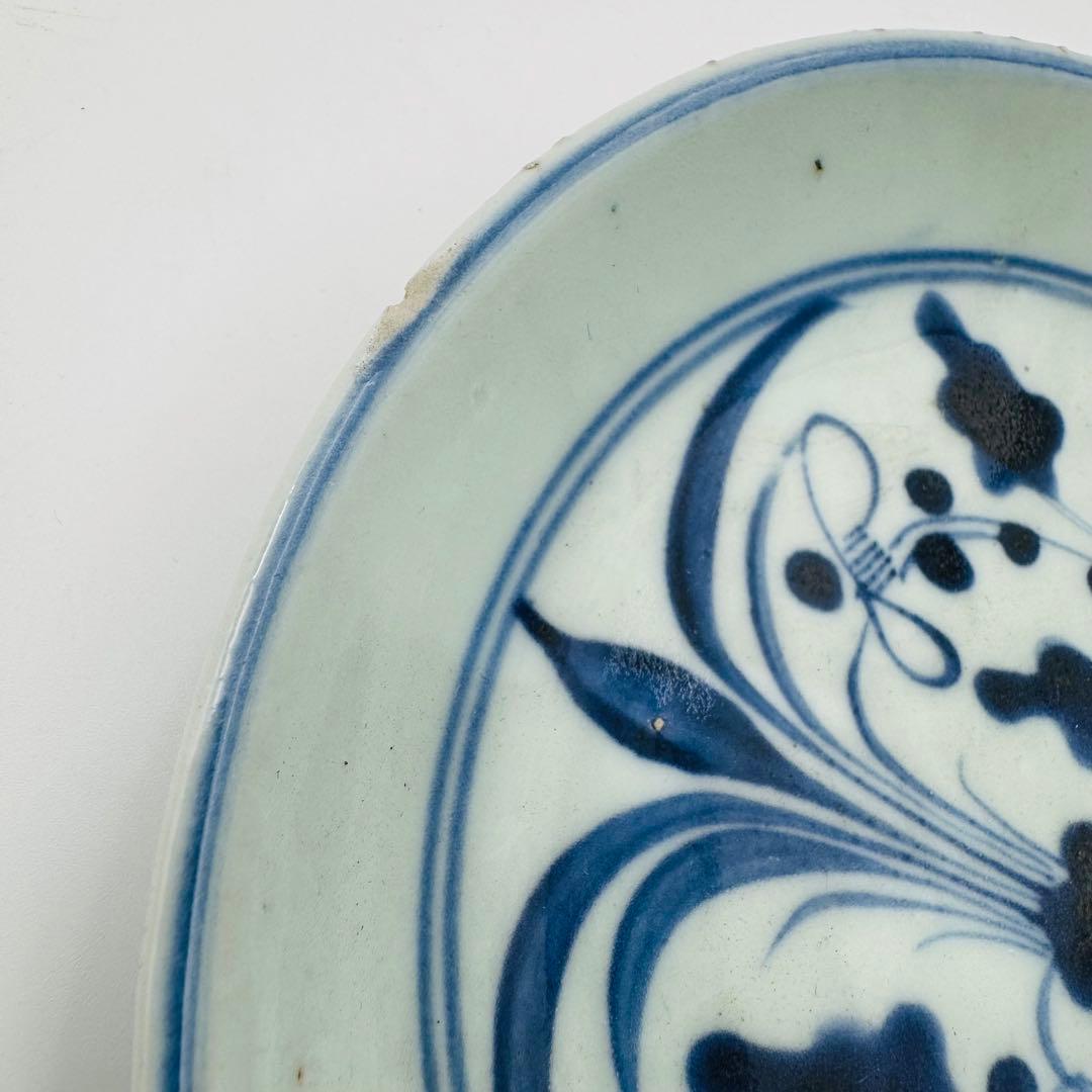 【明治　染付伊万里焼物皿　中皿　5客】時代　骨董　アンティーク