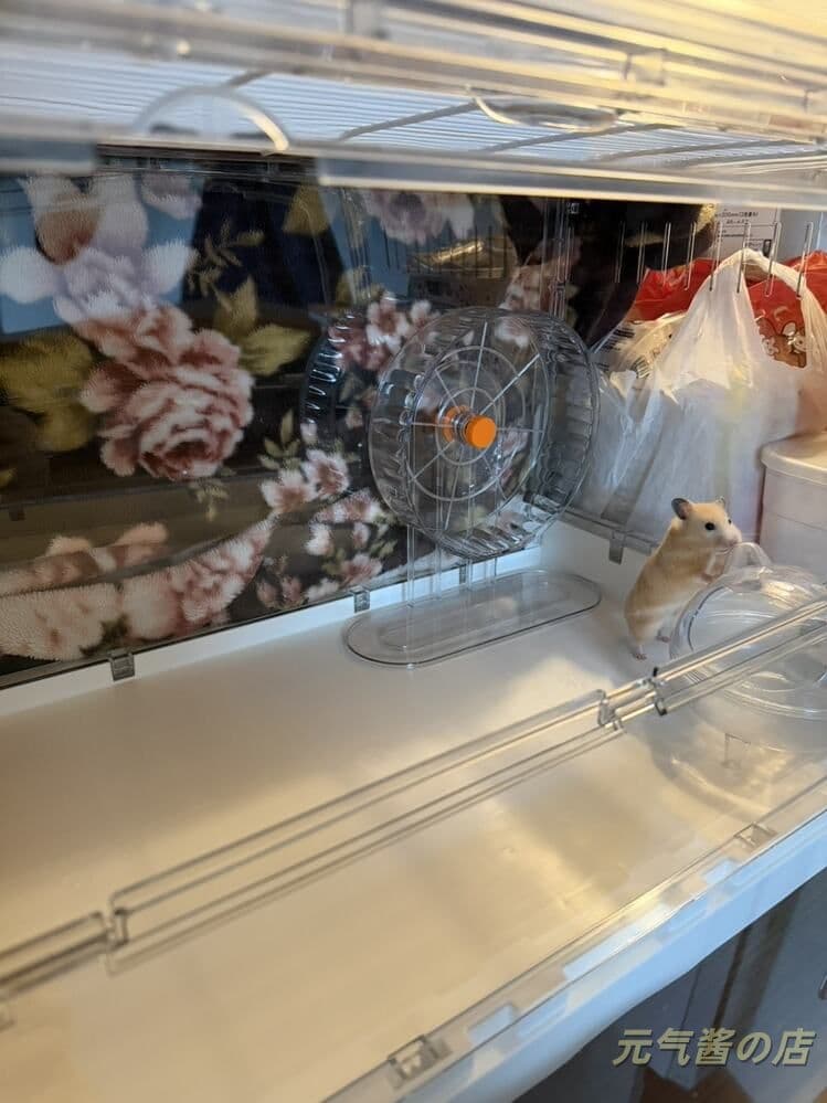 完全透明大型アクリルケージ ハムスターモルモット用 70.5x43.5x39cm