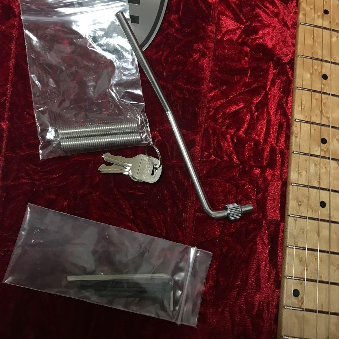 ※レフティEVH WOLFGANG special made in japan