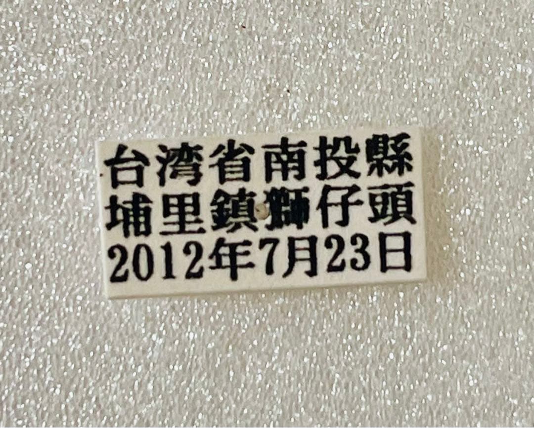 ワタナベアゲハ（1メス・台湾）