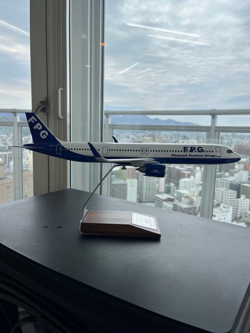 FPG 航空機モデル プラスチック製 約30cm