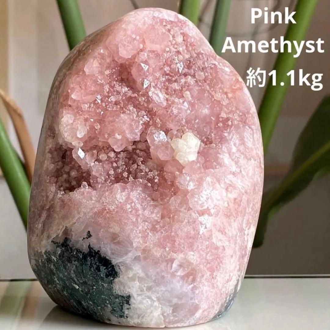 ヤシの実 様　おまとめページ　ありがとうございます