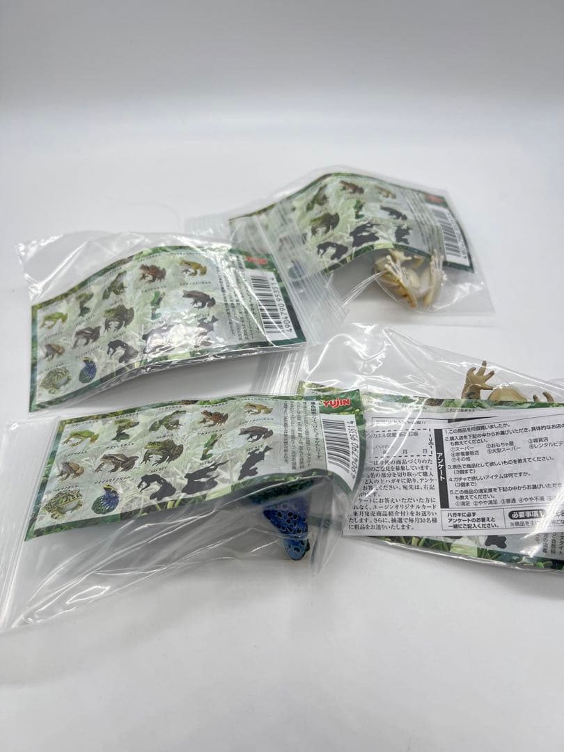 原色両生類カエル図鑑 [新改訂版]