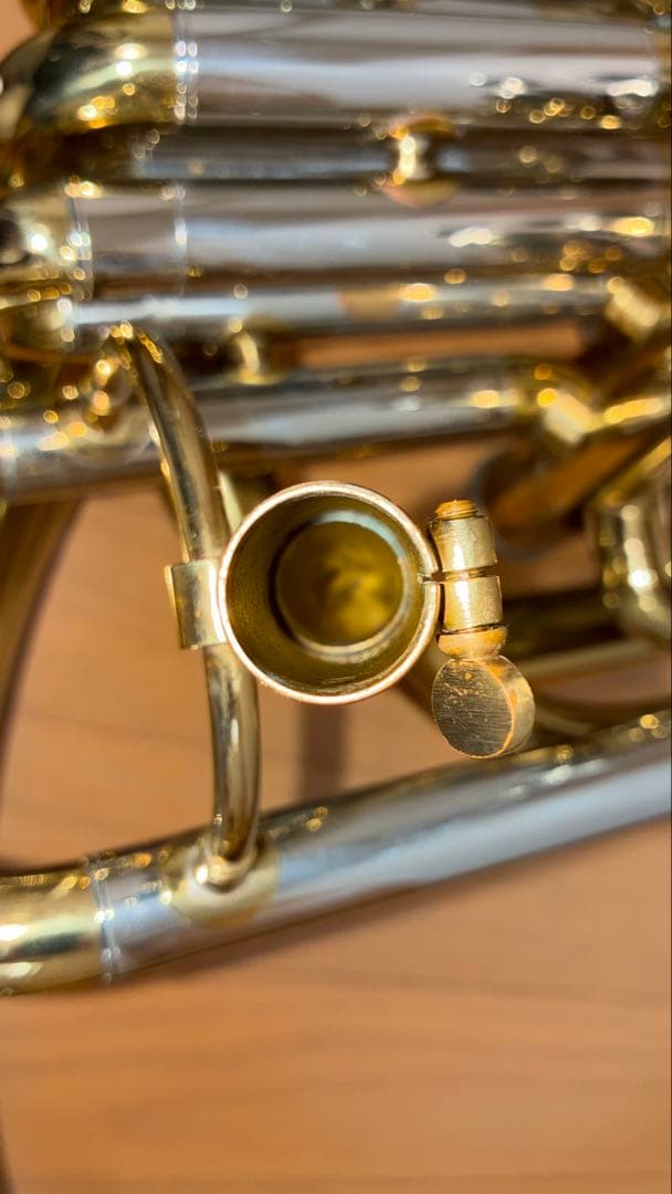 【眠れる森の少年さま専用】スーザフォン