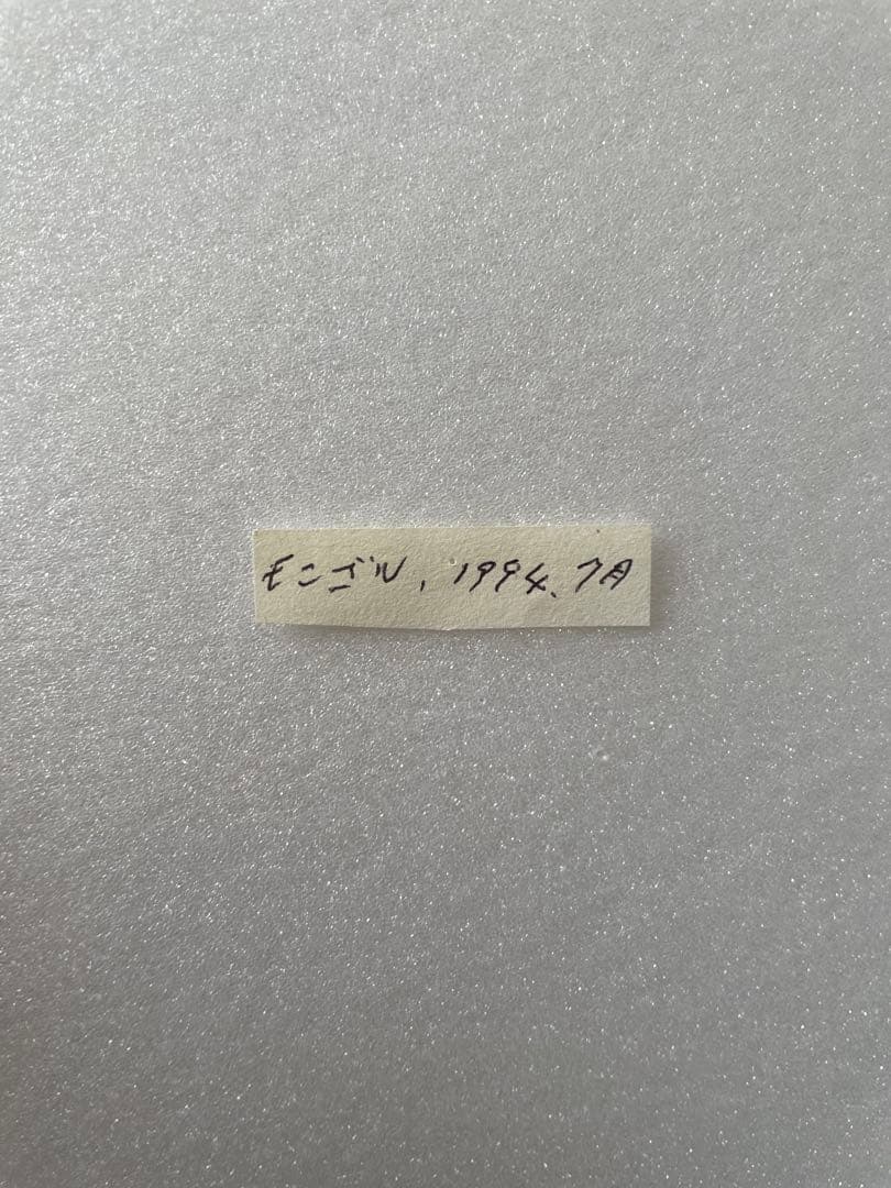 【ペア】タカネヒカゲ（モンゴル産）