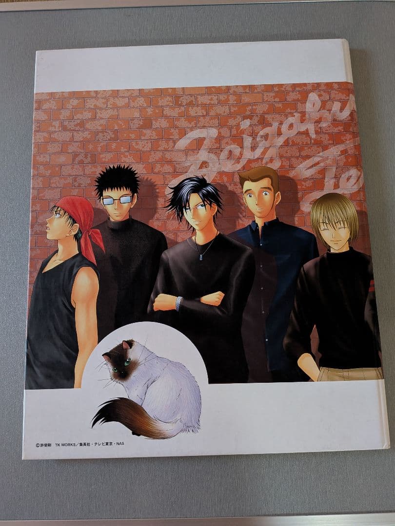 【貴重】テニスの王子様 トレーディングカード ファイル 専用カード全9種入り