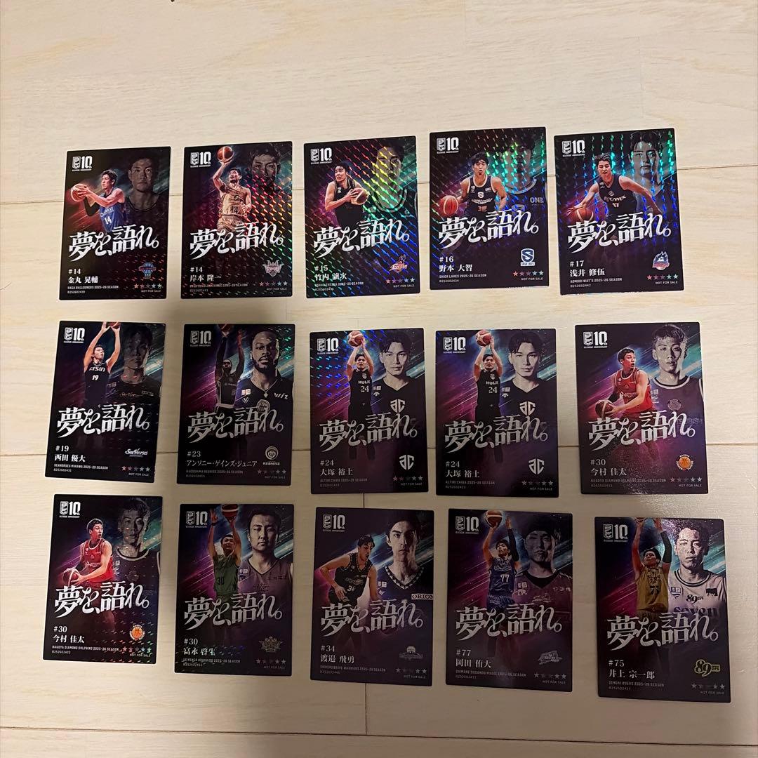 Bリーグ　特別特典　選手カード　45枚