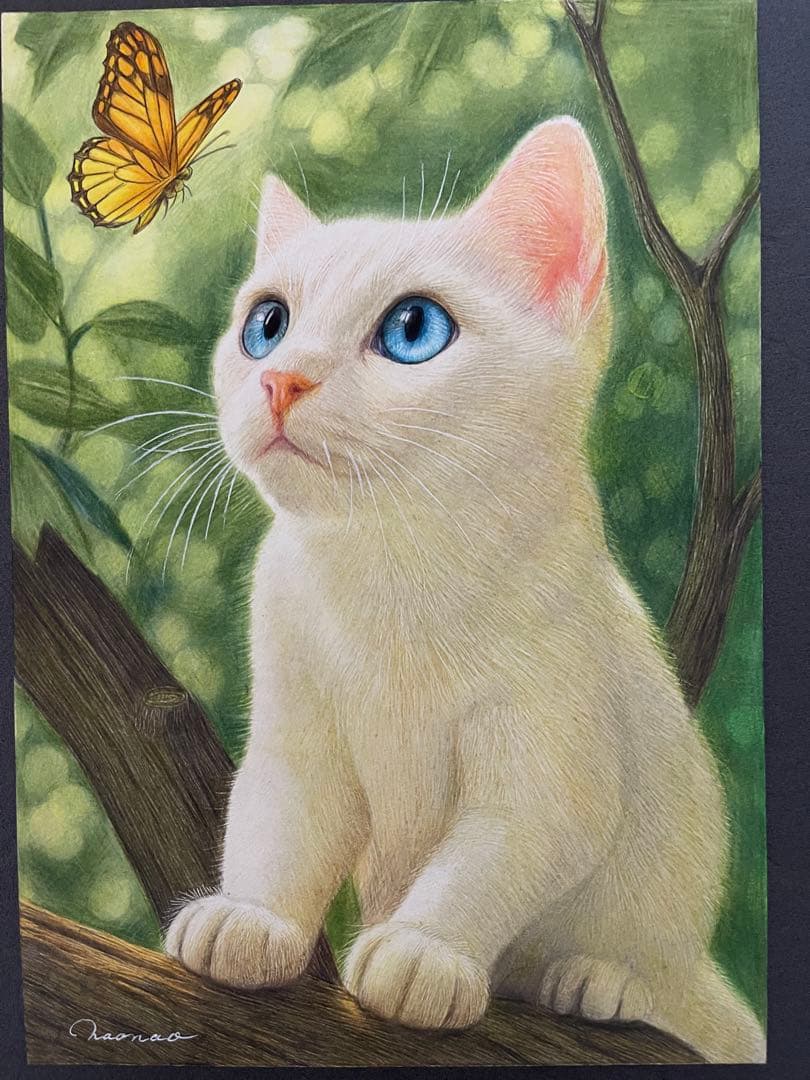 色鉛筆画A4白猫36
