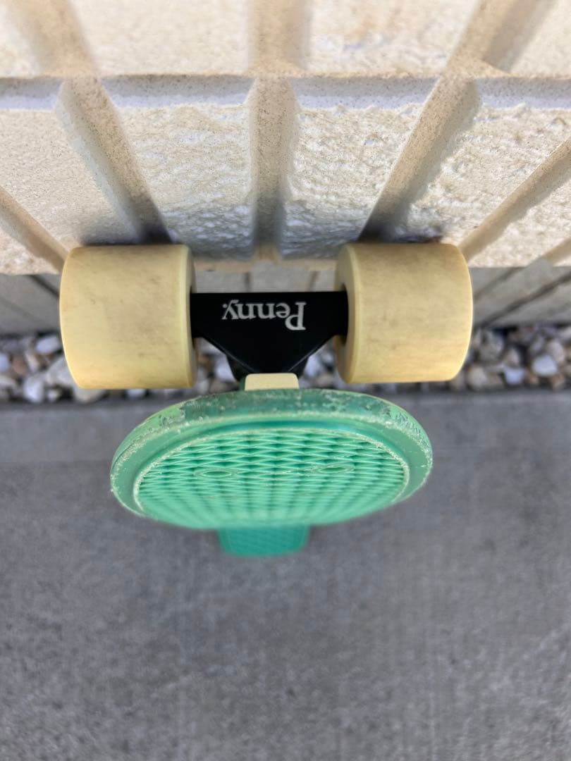 ペニー22inch　penny アンディデイビスコラボ