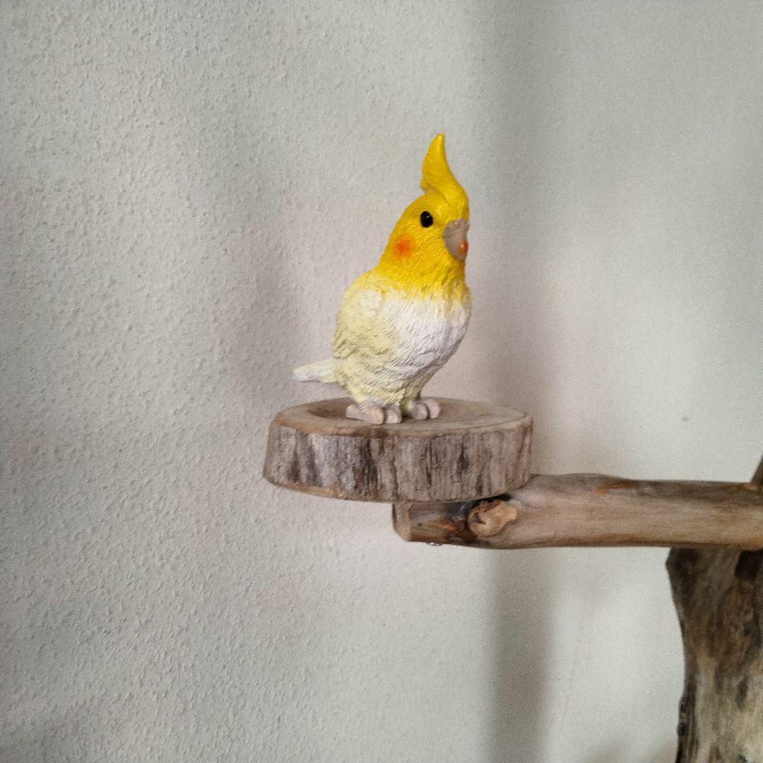 KURIONE SHOP バードアスレチックジム 自然木 流木 止まり木