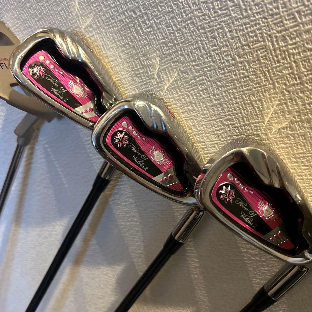 ワールドイーグルFL-01v2 レディースL 10本　右利き　ゴルフセット