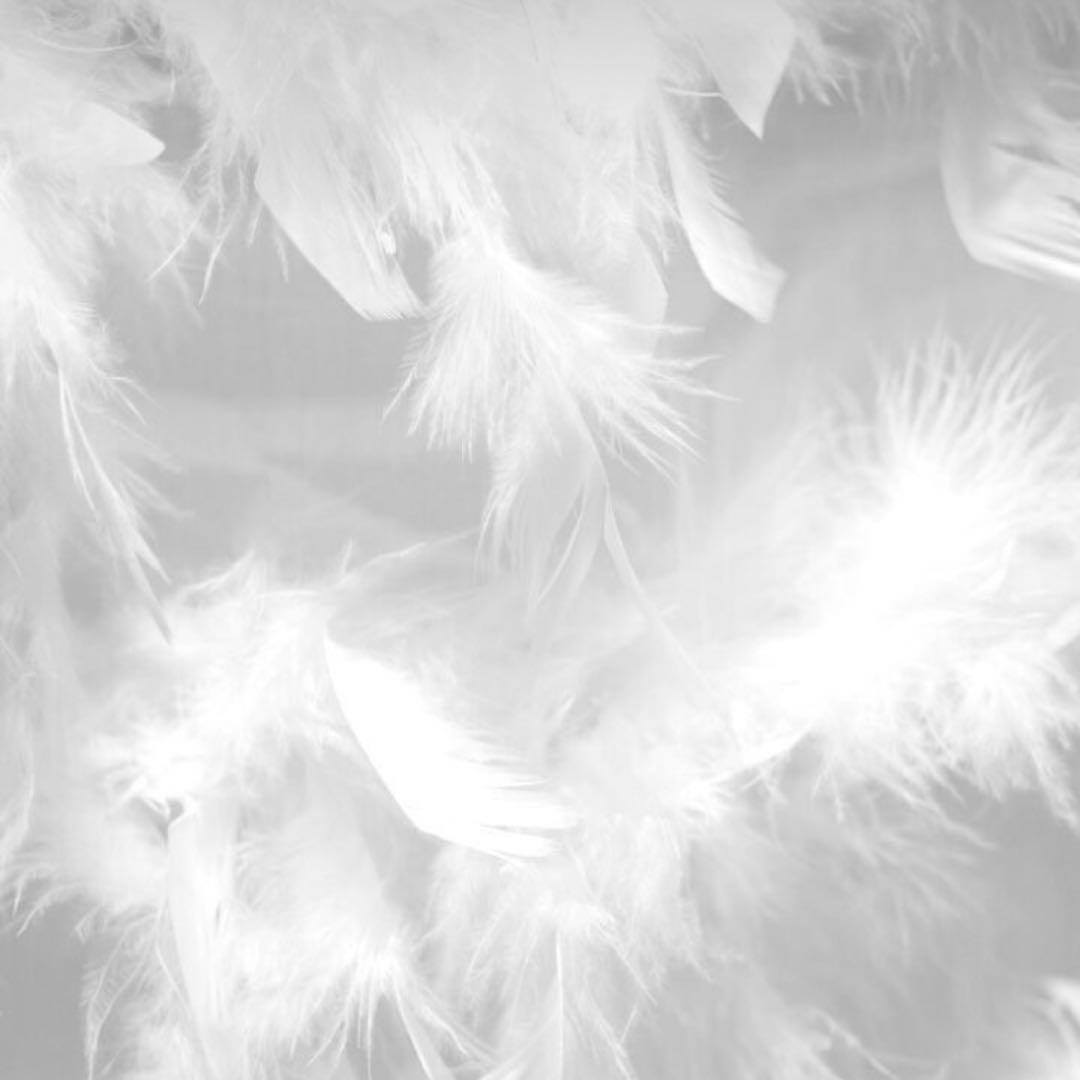 お受け取りまでのご確認用ページ2