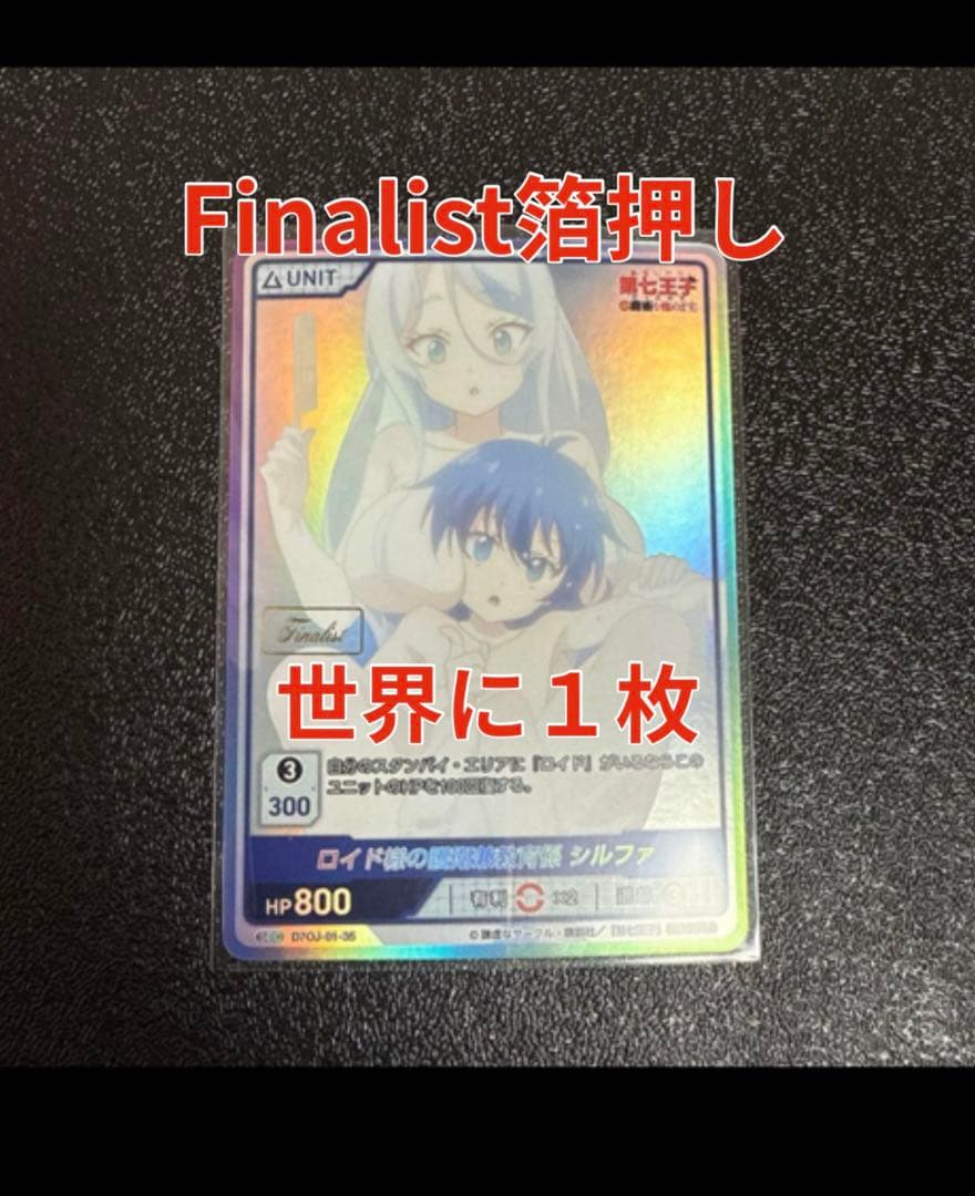 ロイド様の護衛兼教育係シルファ　FINALIST刻印