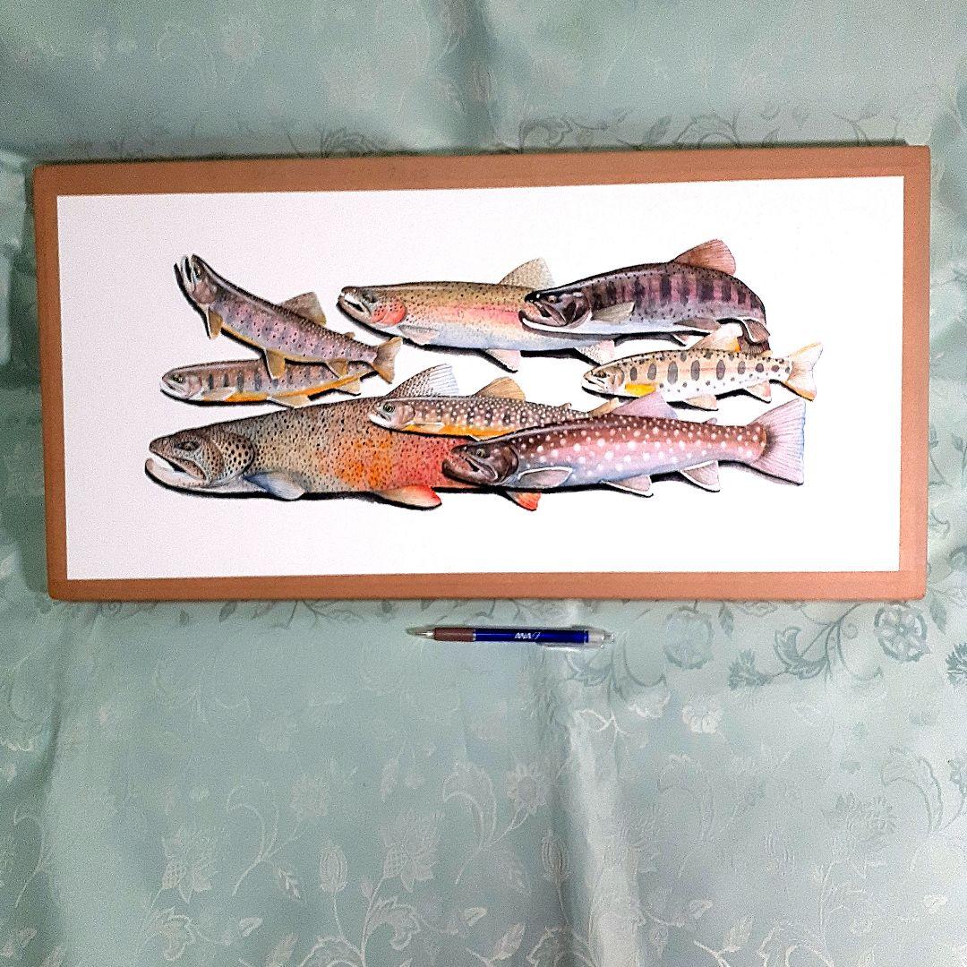 北海道の渓流に住む魚透明水彩画