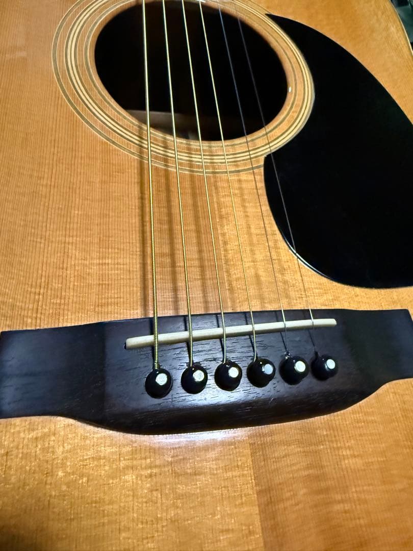 アコースティックギター ドレッドノート スプルース