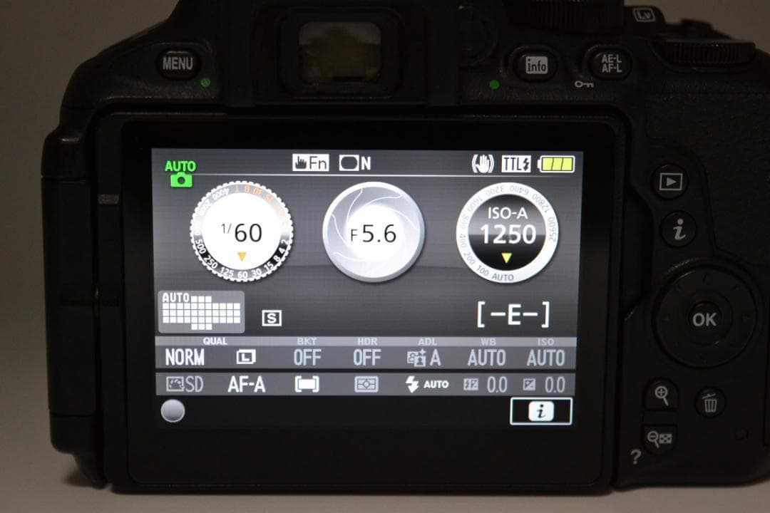 ■ 美品 ■ ニコン　Nikon D5600 レンズキット