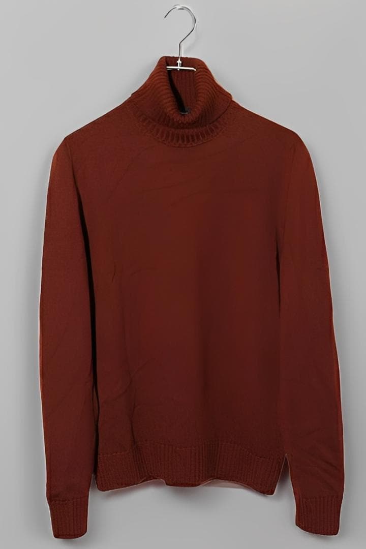 ドルモア エクストラファイン メリノウール タートルネック ニット