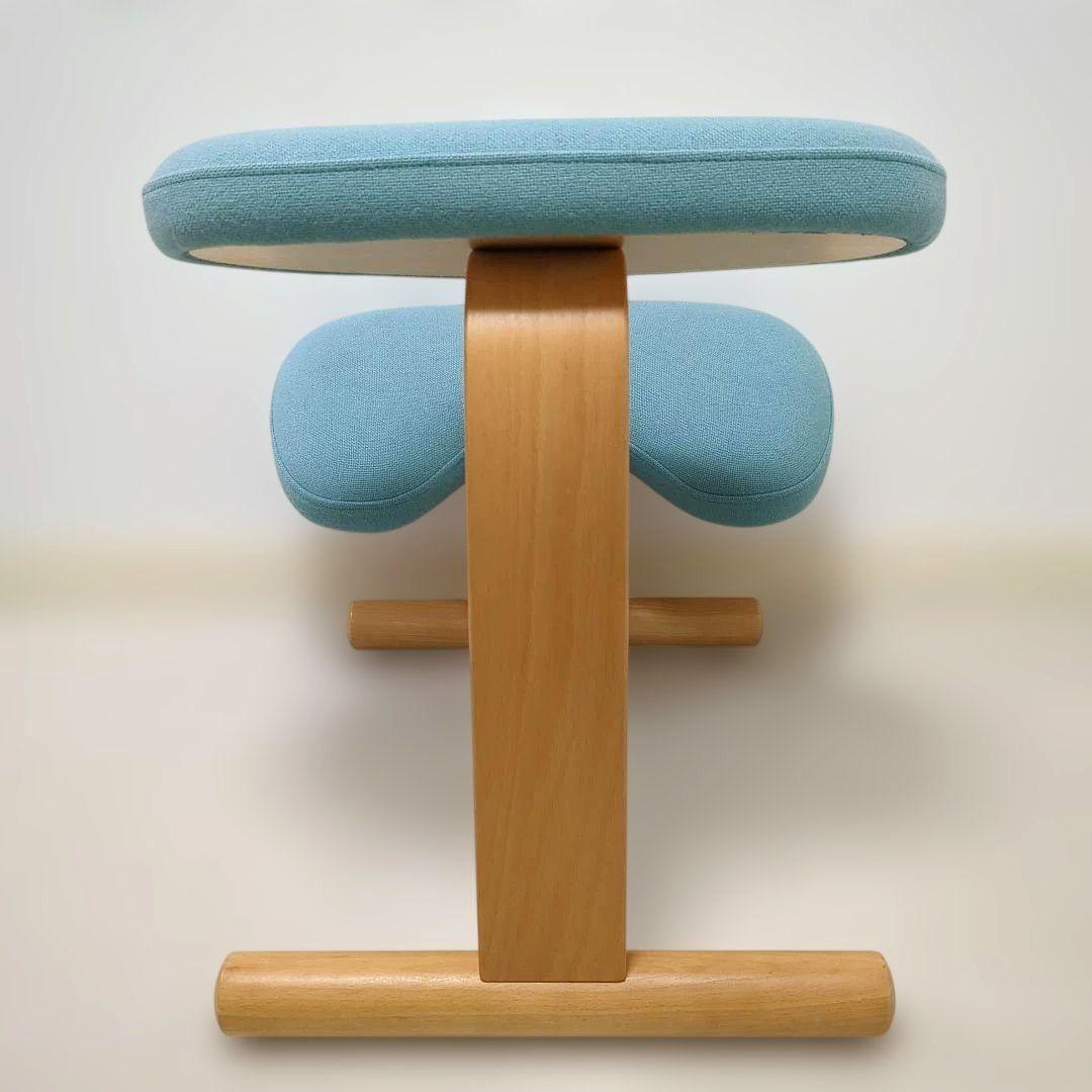 Rybo Balance Easy バランスイージー チェア　リボ社