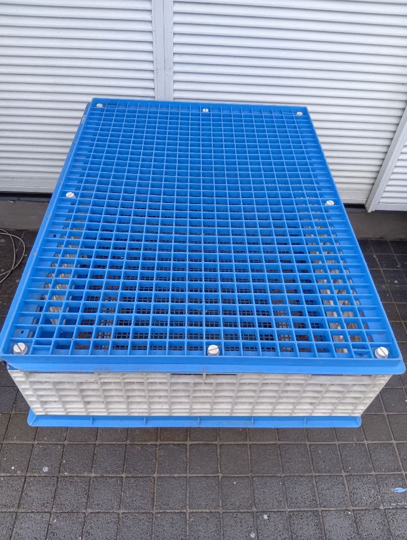 放鳩籠　コンテナ　レース鳩　移送　搬送　輸送　コンテナー　キャディー　愛鳩の友