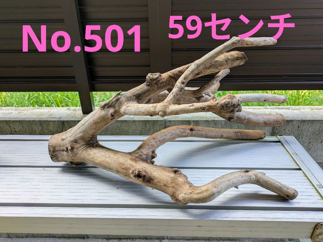 ヤマムラ8点おまとめ　 アク抜き済流木大型　爬虫類登リ木