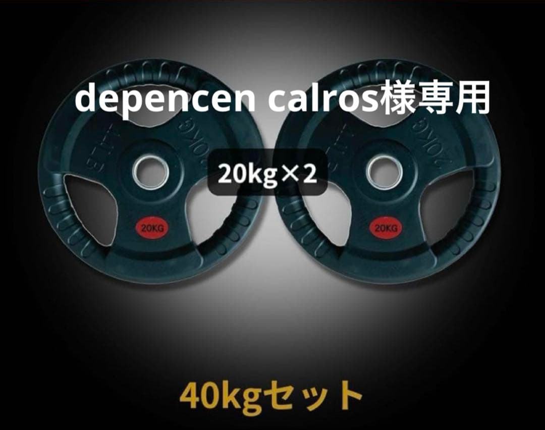 【depencen calros】ダンベルプレート20kg×2