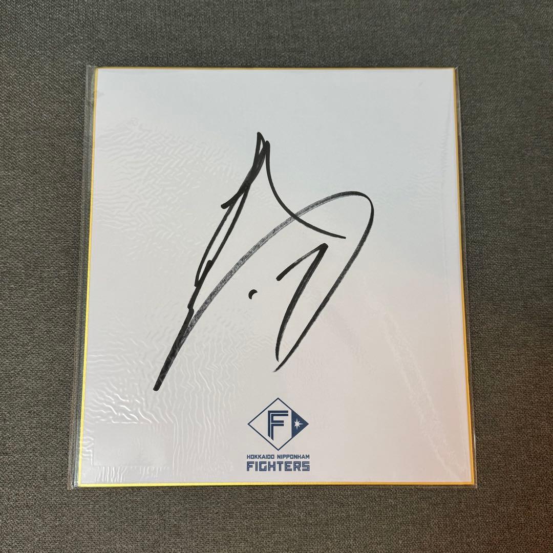 北海道日本ハムファイターズ 伊藤大海 直筆サイン色紙 沖縄キャンプ！ユニフォーム