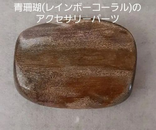 121.世界にひとつだけ！青珊瑚(レインボーコーラル)のアクセサリーパーツ