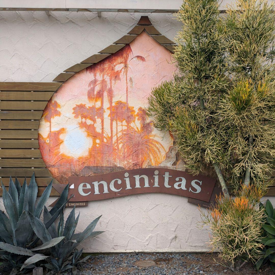 新品 スコッティ キャメロン マーカー パター カバー タイトリスト タイガー