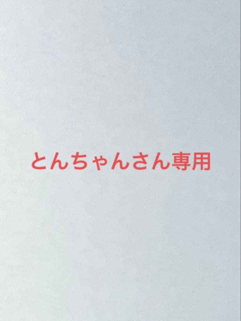 【とんちゃんさん専用】ポケカ未開封ボックス6box のセット