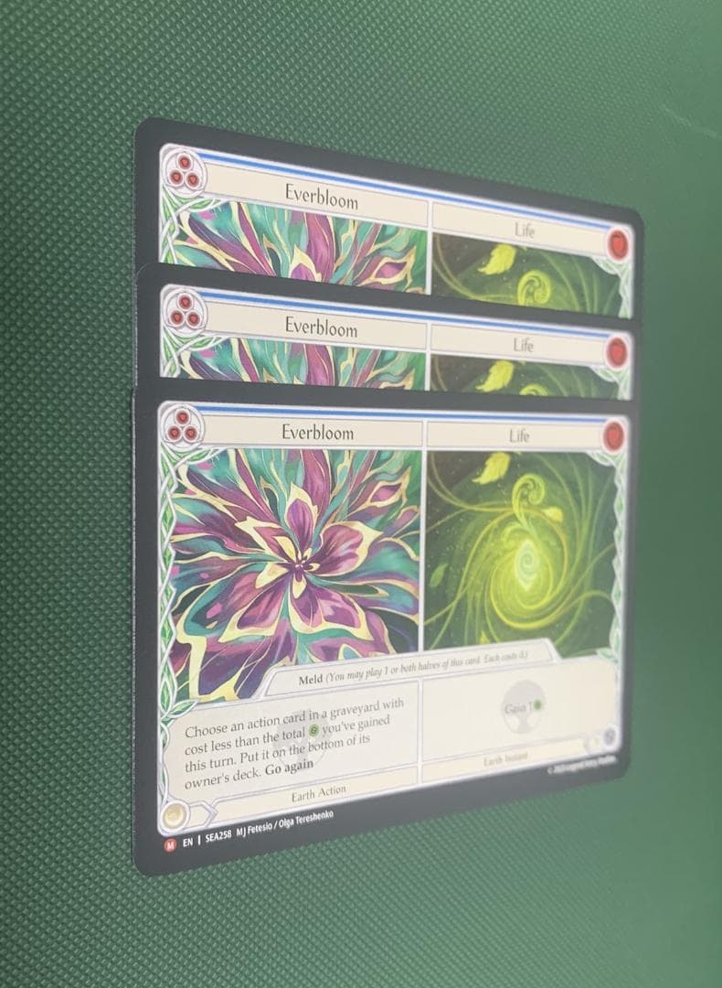 NF 常咲/生命/Everbloom / Life ENG 3枚