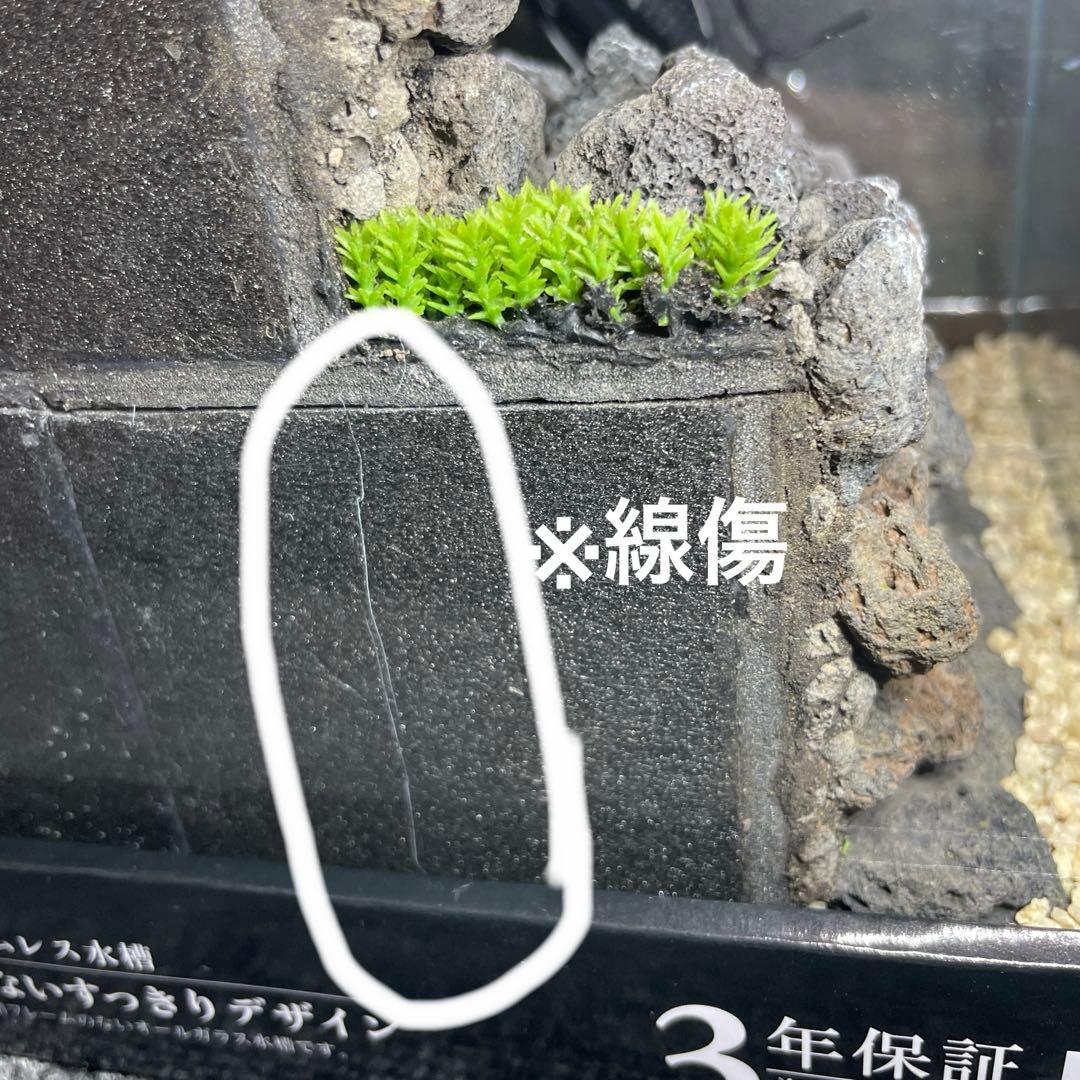 アクアテラリウム　　溶岩石　No.3　※傷あり特価※