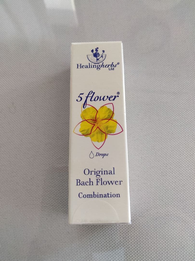 PON☆55様■ ホワイトチェストナット2 チコリ2 インパチェンス1