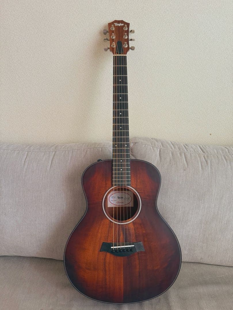 Taylor GS Mini Koa plus (2024年製)