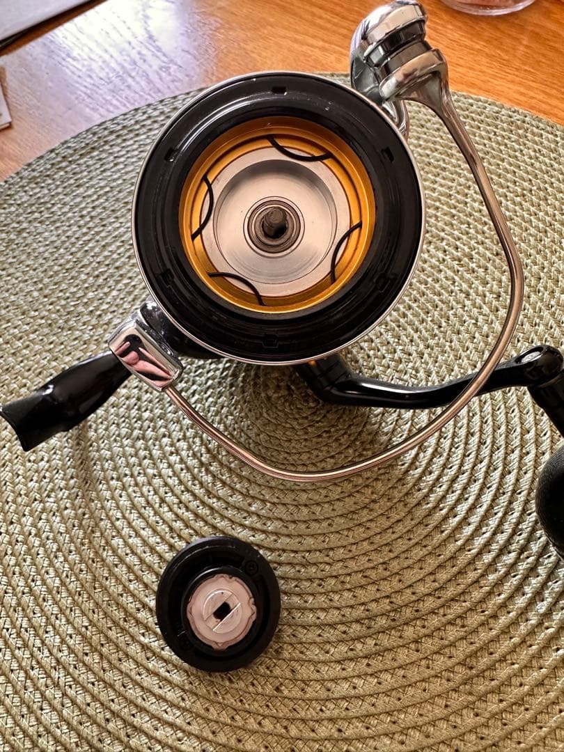 リール SHIMANO 20 STELLA SW 6000HG