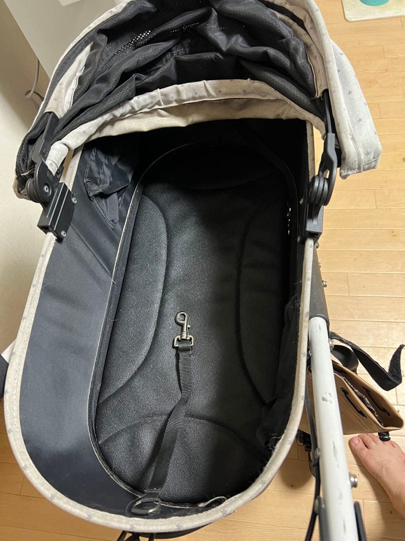 エアバギー ドーム3 ラージ dome3 ビームス別注 豪華おまけ付き