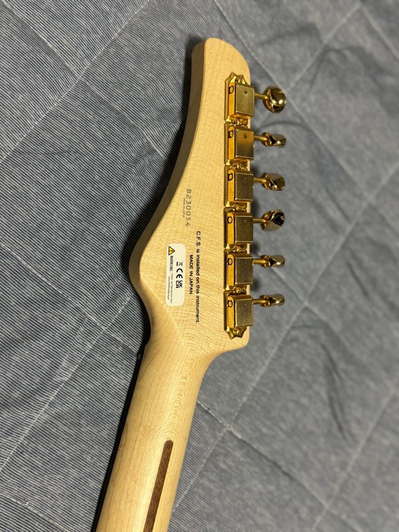 ギター (Fujigen) Expert OS(EOS)