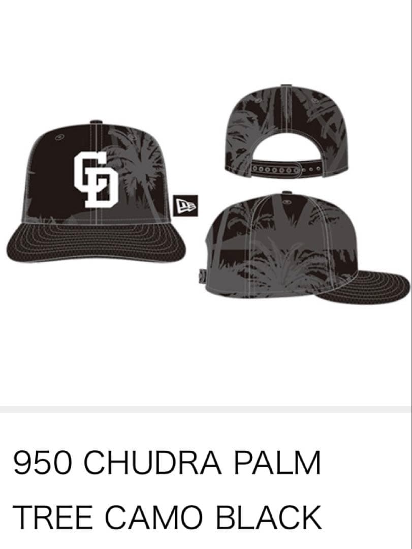 中日ドラゴンズ　沖縄キャンプ限定　キャップ　PALM TREECAMOBLACK