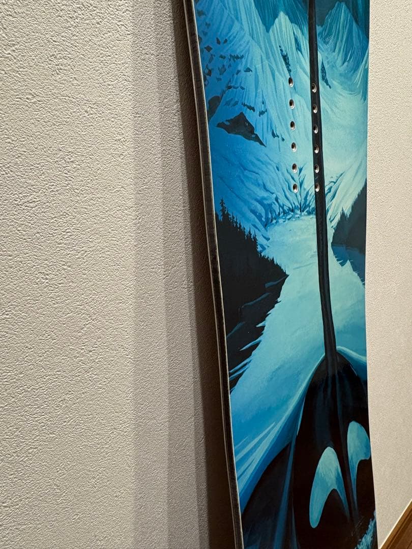 スノーボード Lib Tech T. Rice Orca 153cm