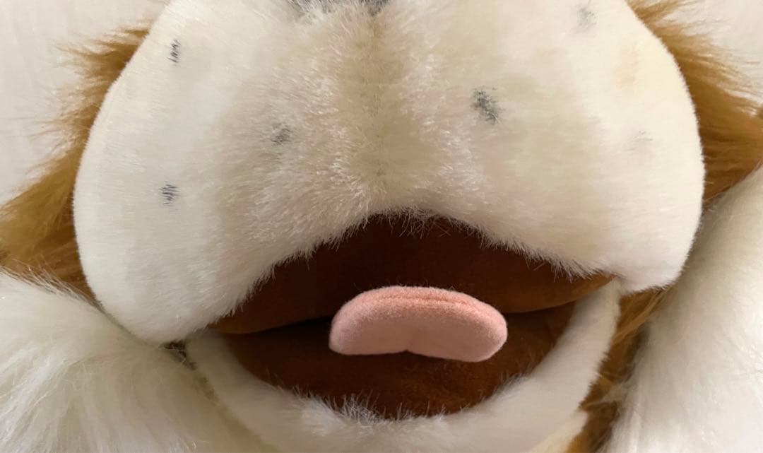 特大　セントバーナード　WARABE 激レア　レトロ