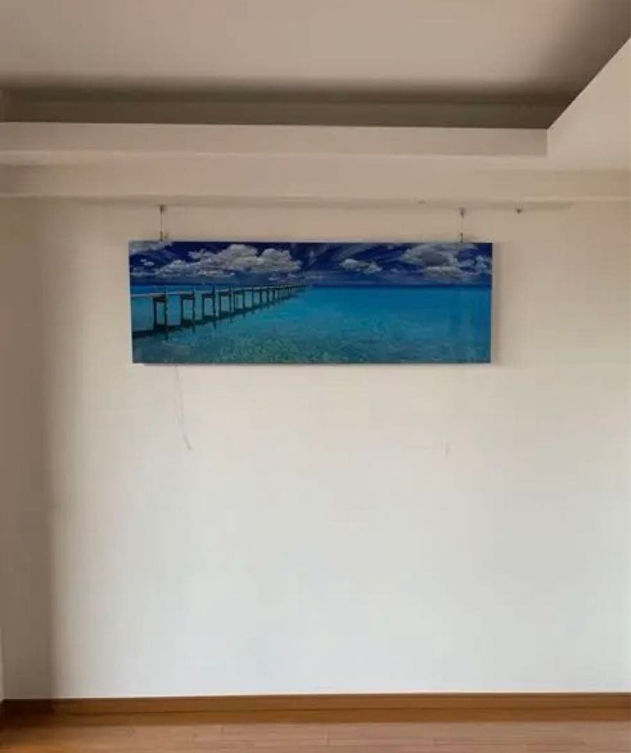 ピーターリック　Mid summer dream フロリダ