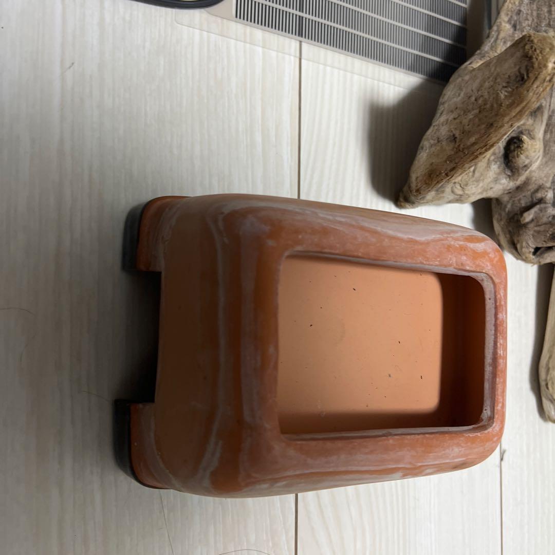 【引き取り限定】グラステラリウム 9060