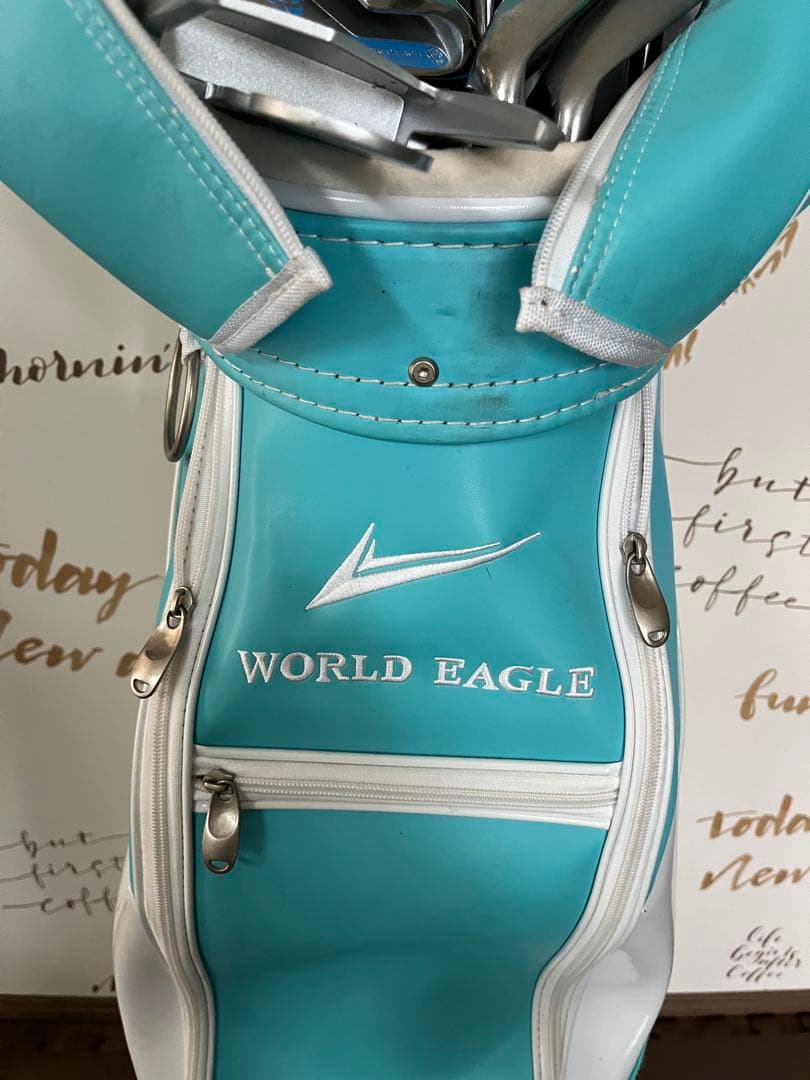 WORLD EAGLE レディース ゴルフクラブセット 12本