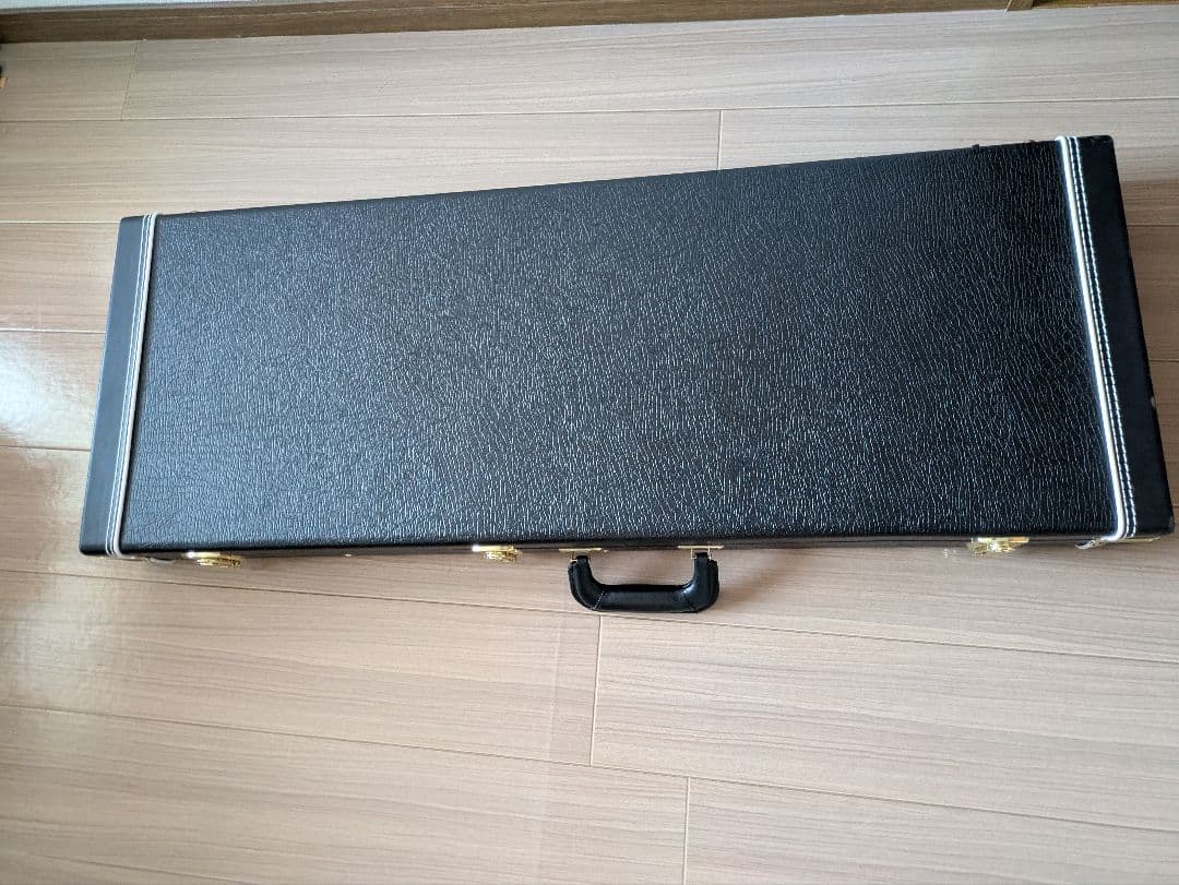 Fujigen エレキギター EOS expert os oder